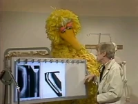 Mr. Hooper Episode 1205