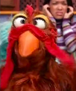 4016-crosseyedchicken