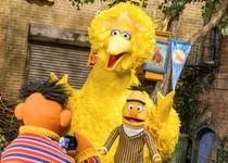 4902-coldopen.jpg (668 KB) cold open