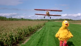 Running from a biplane Follow That Bird