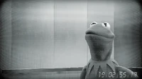 Muppets-com60