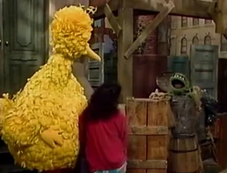 BigBird&OscarTogether-SSVTH