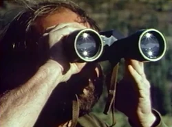 Binoculars watch bears