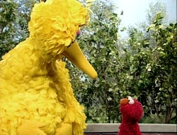 ElmoBigBird.sad