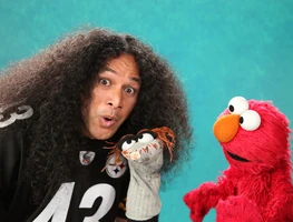 Troy Polamalu, Pittsburgh Steelers: Sesame Street, Season 44
