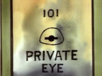 MB302-PrivateEye