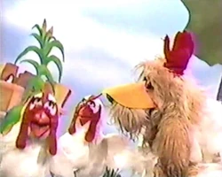 Muppet time rover chickens