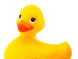 Rubber Duckie (duck)