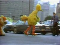 Big Bird in China