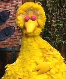 BigbirdclosedeyesQuietTime.jpg