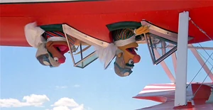 FollowThatBird-UpsideDownWorld