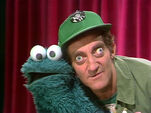 Marty Feldman