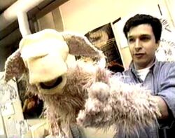 Peter MacKennan with the Clueless Morgan puppet in development