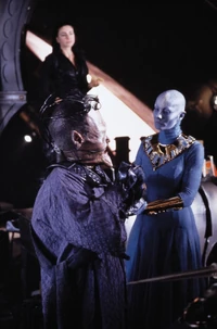 204-Crackers Don't Matter3.jpg (375 KB)