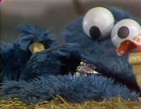 Cookie Monster and the Z bug (First: Episode 1484)