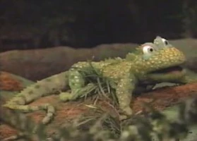 Iguana in The Earth Day Special