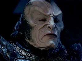 Jenek.jpg (295 KB) Jenek