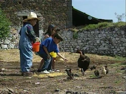 KidsTendingtoFarmAnimals