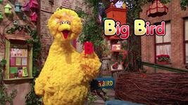 B is for Big Bird (First: Episode 4807)