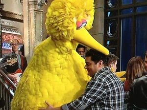 BobbyMoynihanBigBird.jpg