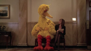 Cj and bigbird