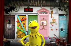 Kermit (nephew of a chameleon) changes his colors.