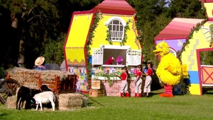 A global view of the farm