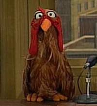 Marty-Zelda.jpg (129 KB) Zelda Sesame Street Episode 2329