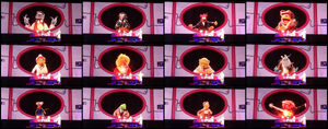 Muppet Doctors.jpg