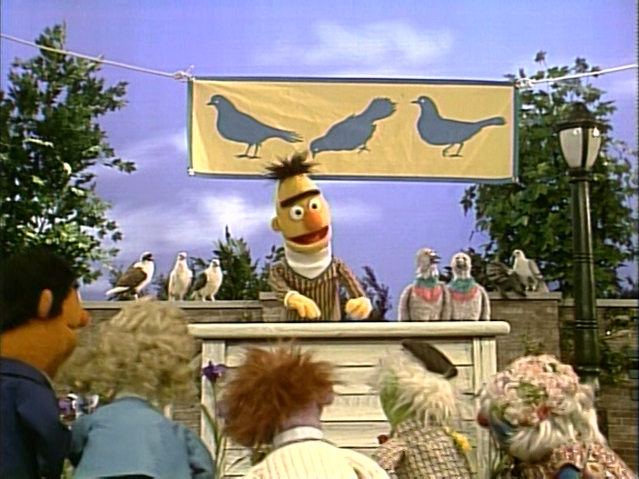 sesame street bert pigeon