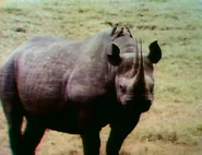 There's a Bird on Me.jpg (61 KB)