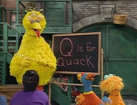 Big Bird explains that Q is for Quack (First: Episode 3792)