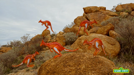 "Five Kangaroos" (First: Episode 4419)