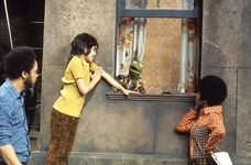 Kermitsapartment.jpg (56 KB) Episode 0376 Scenes 1-4, 6, 9-10