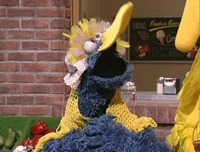 Cookie-Granny.jpg (250 KB) Cookie Monster as Granny BirdSesame Street Episode 4086