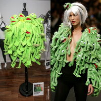 Gaga's Kermit dress on display