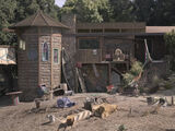 The Shack