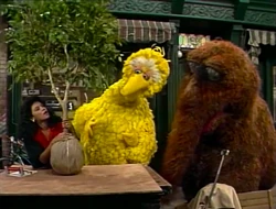 Vlcsnap-2018-02-18-10h52m16s397