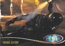 "Natural Election" 237