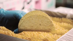 FoodieTruck-Tacos02