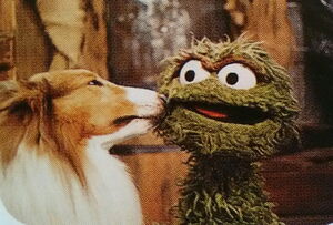 Lassie and , from Sesame Street .