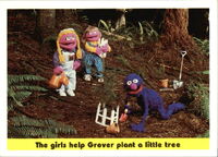 45: The girls help Grover plant a little tree