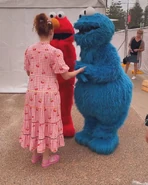 Australian-walkaround-of-Cookie-2024.jpg (333 KB) Australian appearance with a deep, rounder head