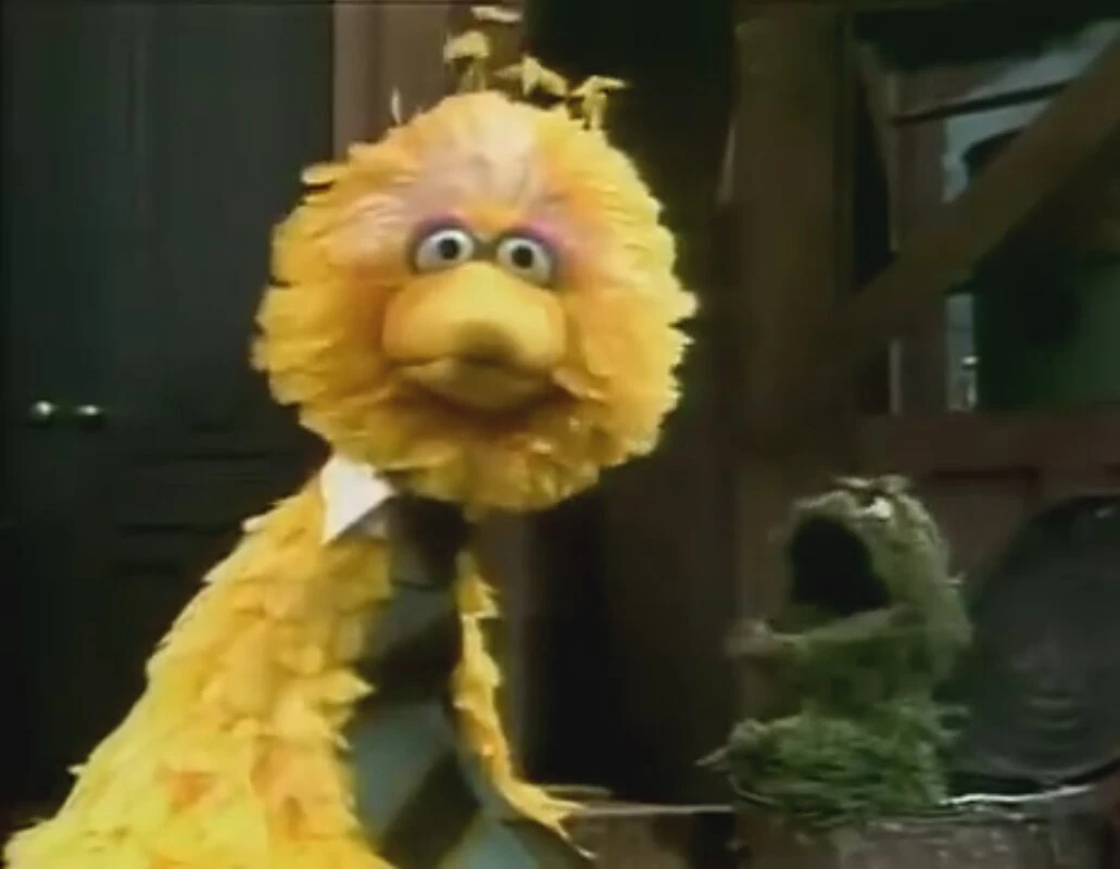 Big Bird and Oscar Muppet Wiki Fandom