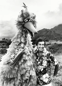 Big bird and bob hawaii.jpg (479 KB) Bob and Big Bird
