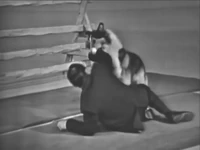 Lassie fighting with the villain