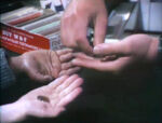 Money (Penny, Nickel, Dime)
