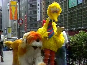 Big Bird in Japan | Muppet Wiki | Fandom