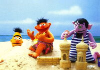 Ernie bert beach