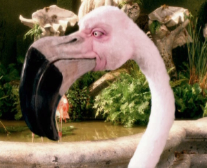 https://static.wikia.nocookie.net/muppet/images/1/11/Flamingo-aw.jpg/revision/latest?cb=20061122172043